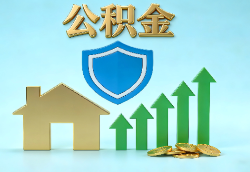 大兴安岭当前住房公积金提取条件分类指南与政策趋势
